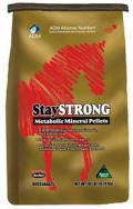 StaySTRONG every horse every day